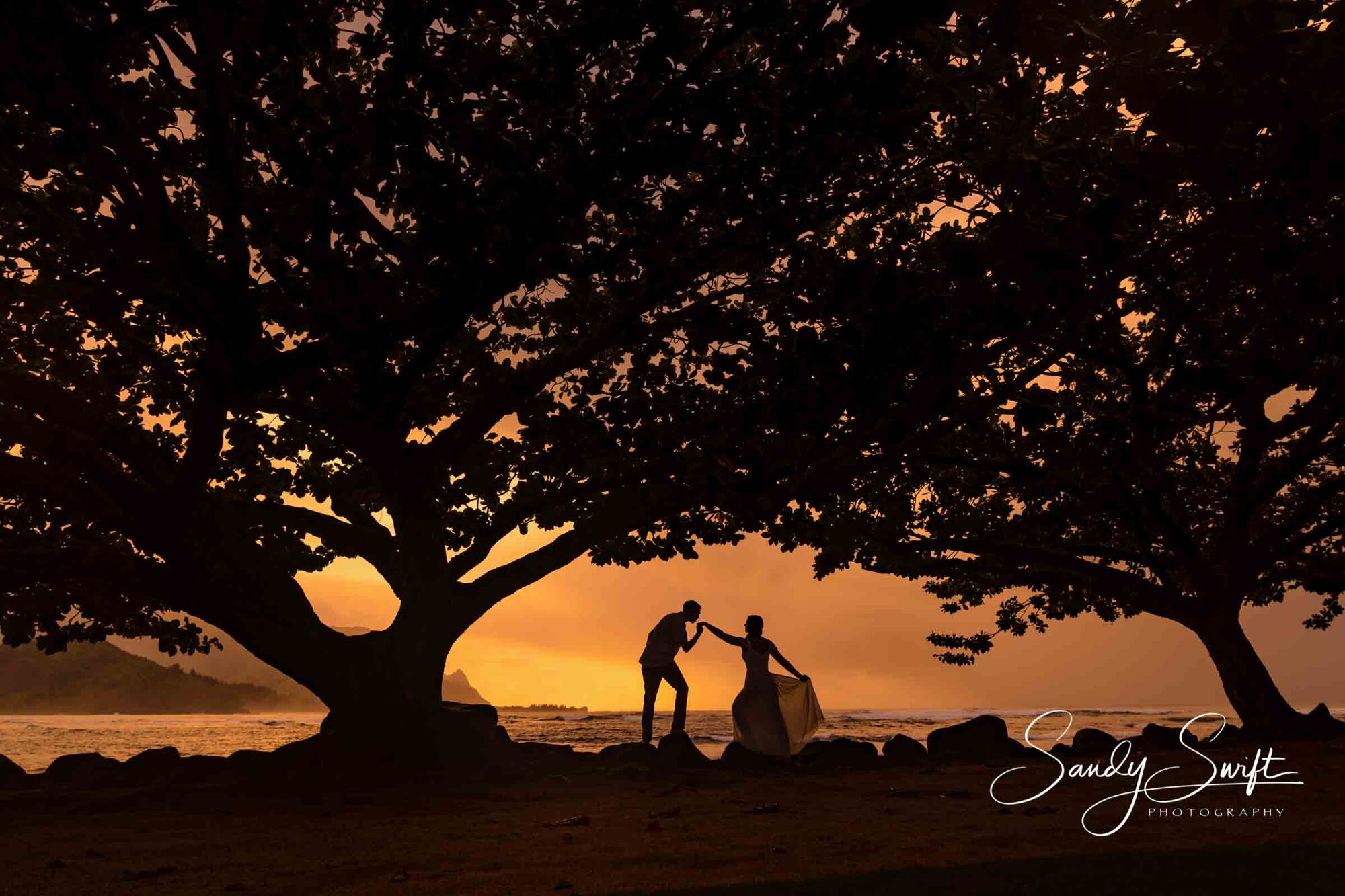 Featured Photographer: Sandy Swift – photo 6