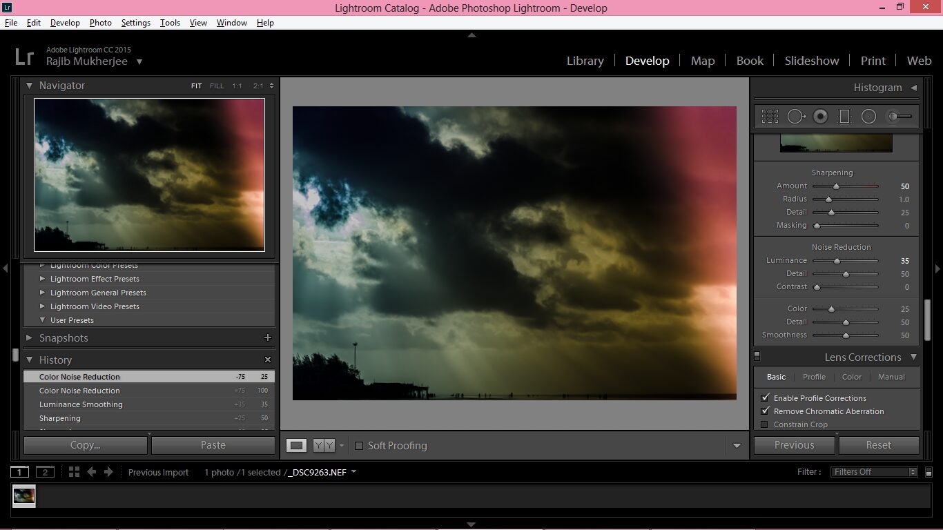 How to render a light leak effect to your landscape images – photo 6
