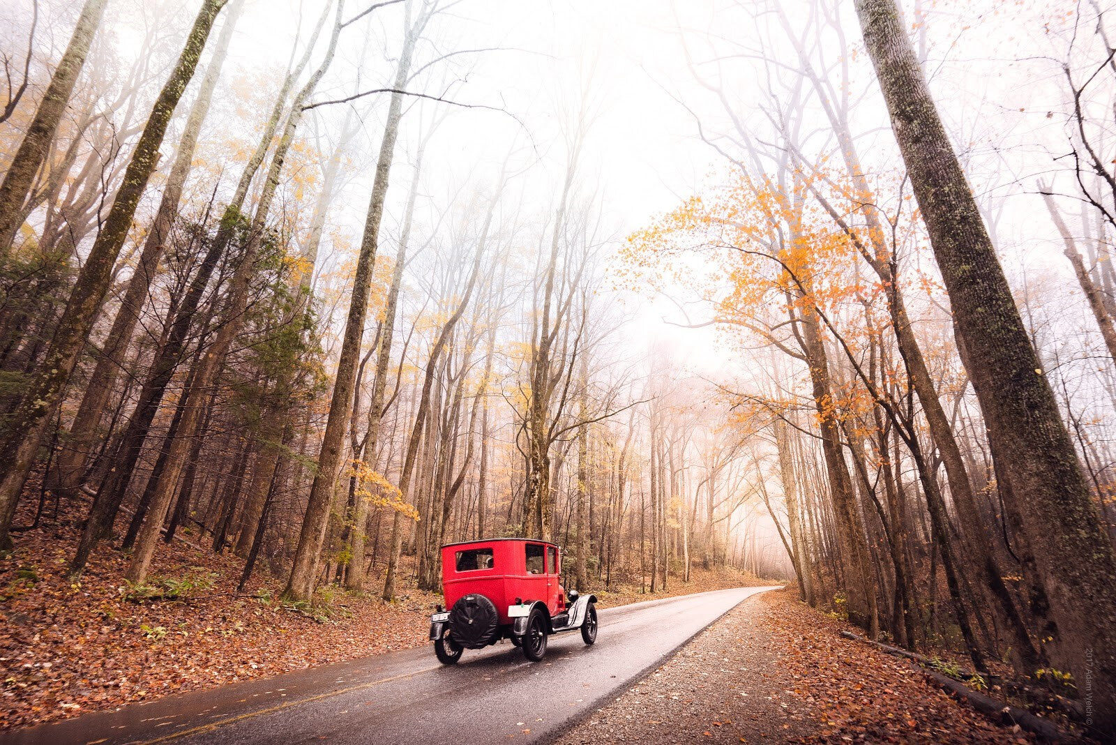 Going Old School: Making Vintage Photos in Lightroom – photo 3