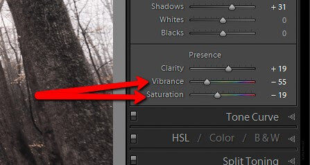 Going Old School: Making Vintage Photos in Lightroom – photo 4