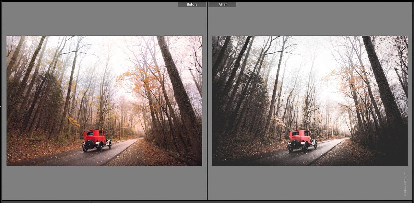 How to make any photo look Vintage: Before and After