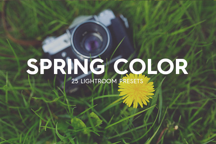 25 Spring Color Lightroom Presets: product cover