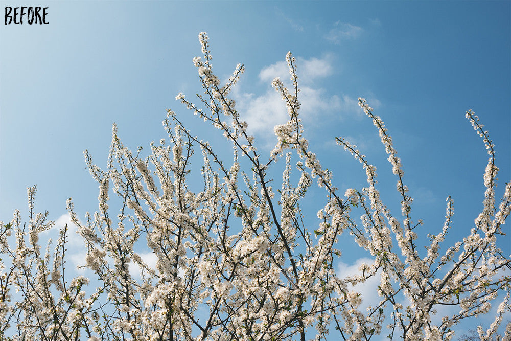 87 The Seasons Lightroom Presets – before editing
